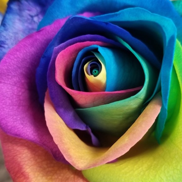 Meet your Posher, Michelle - Picture 1 of 1